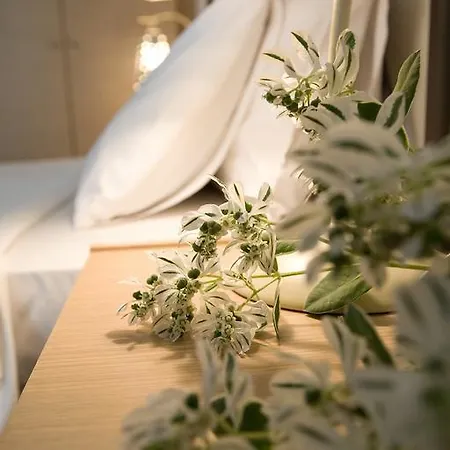 Anemolia Apartment *