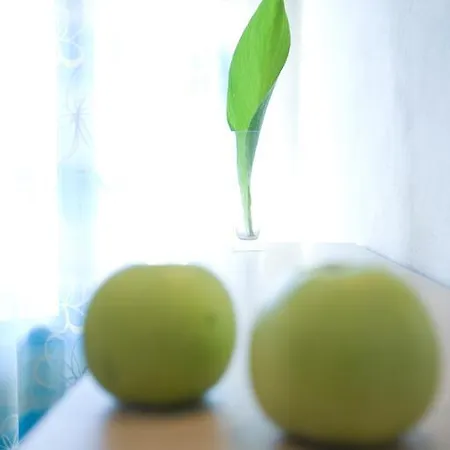 Anemolia Appartement