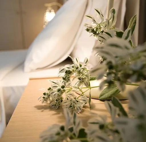 Anemolia Apartamento *