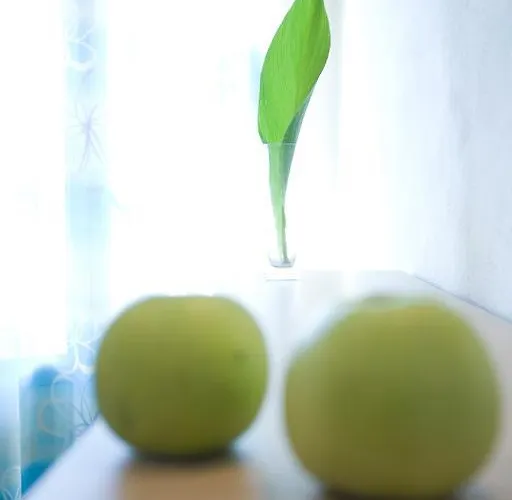 Anemolia Apartamento